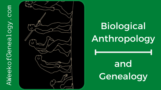 Blog Banner Biological Anthropology and Genealogy