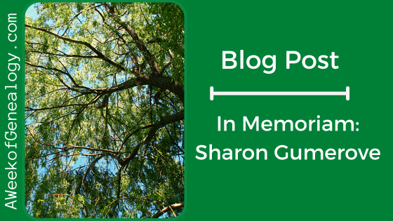 Blog Post Banner In Memoriam: Sharon Gumerove